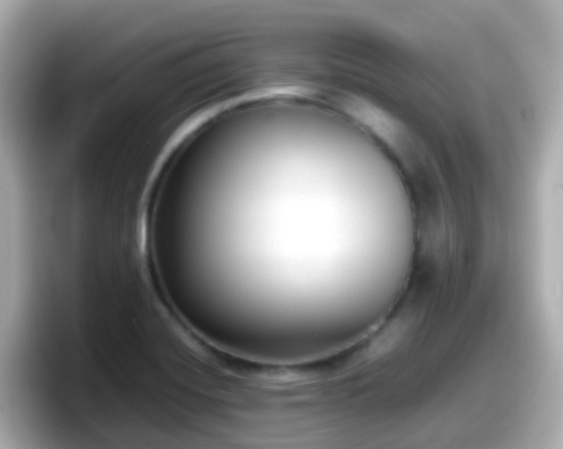 X0000098101420200804111013