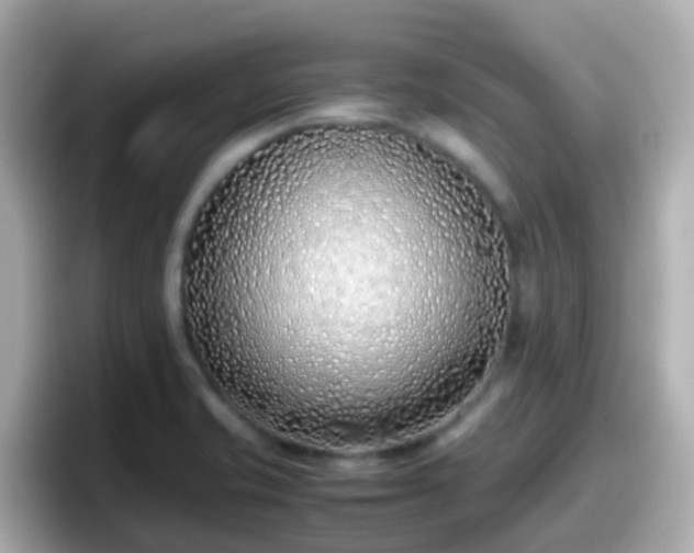 X0000098101421200804111014