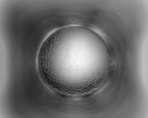 X0000098101423200804111014