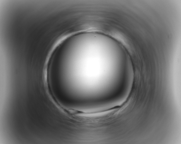 X0000098101424200804111014