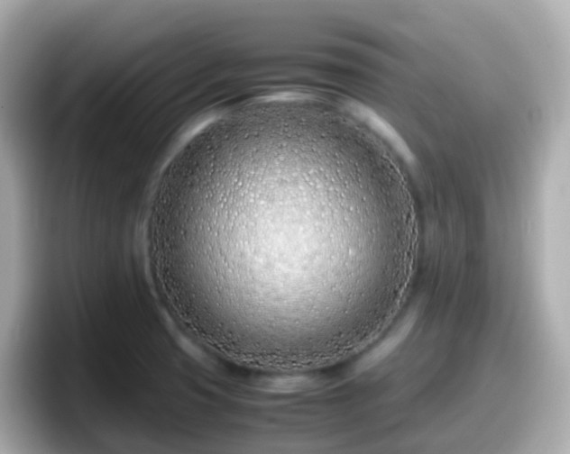 X0000098101425200804111014