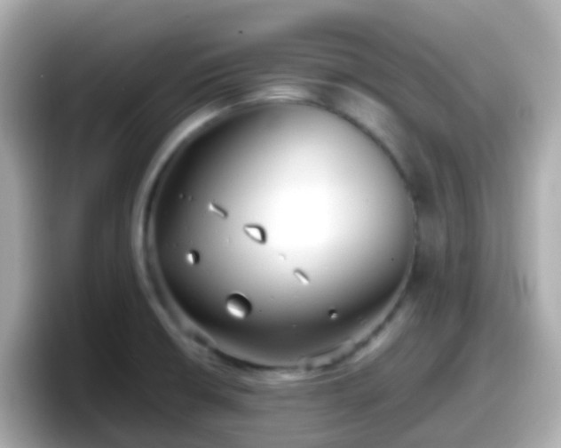 X0000098101426200804111014
