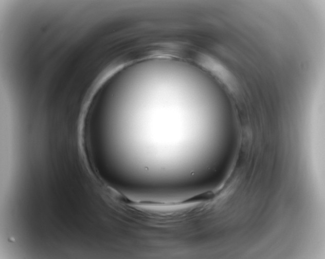 X0000098101427200804111014
