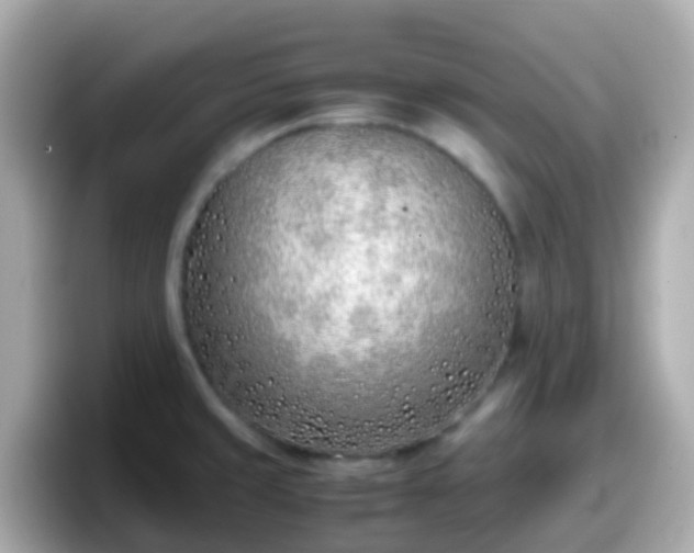 X0000098101429200804111014