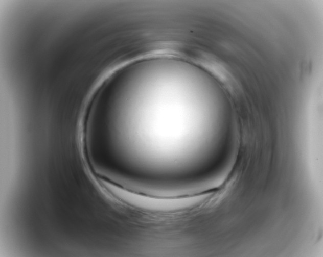 X0000098101430200804111014