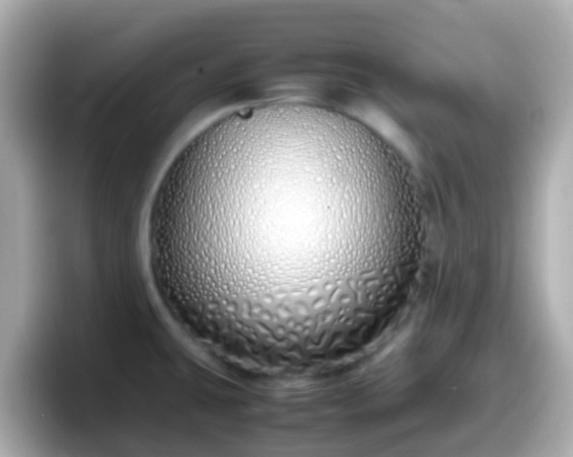 X0000098101431200804111014