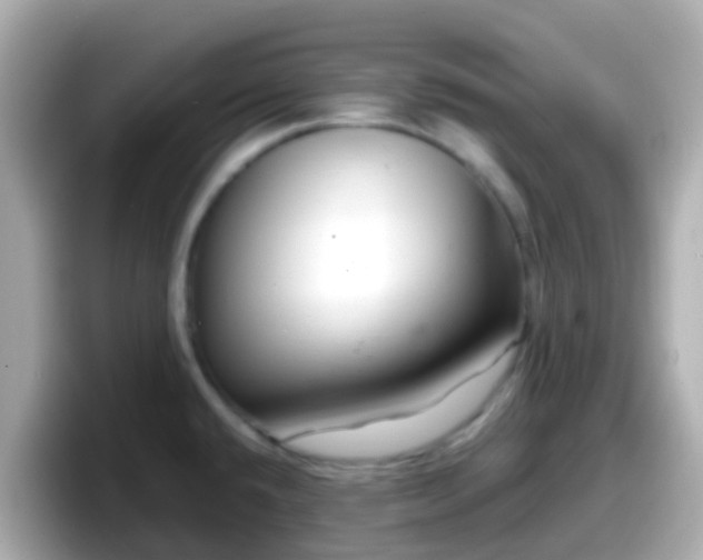 X0000098101432200804111014
