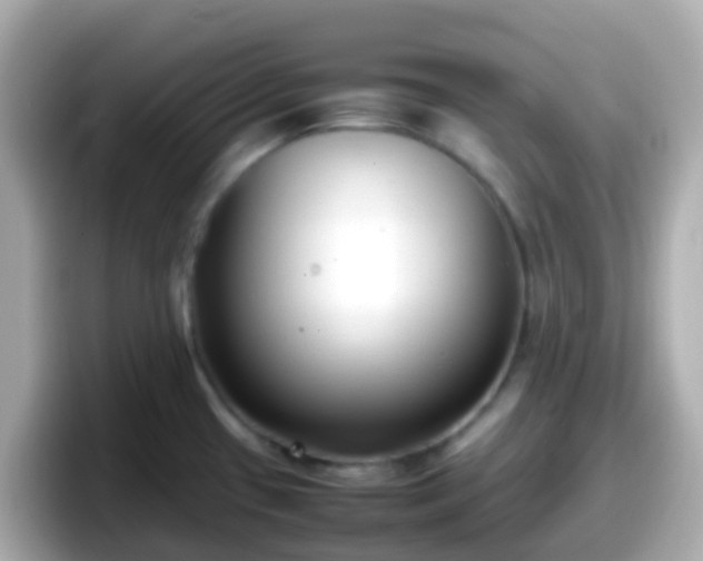 X0000098101433200804111014