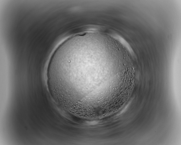 X0000098101435200804111014