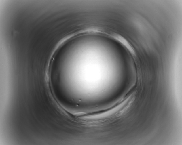 X0000098101436200804111014