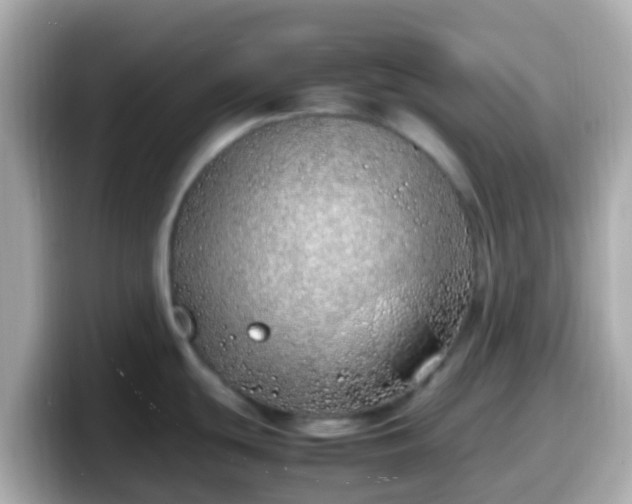 X0000098101439200804111014