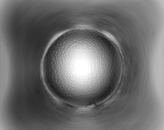 X0000098101440200804111014