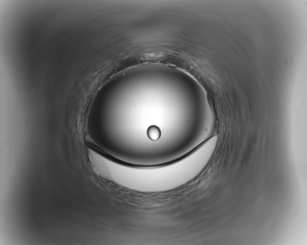 X0000098101441200804111013