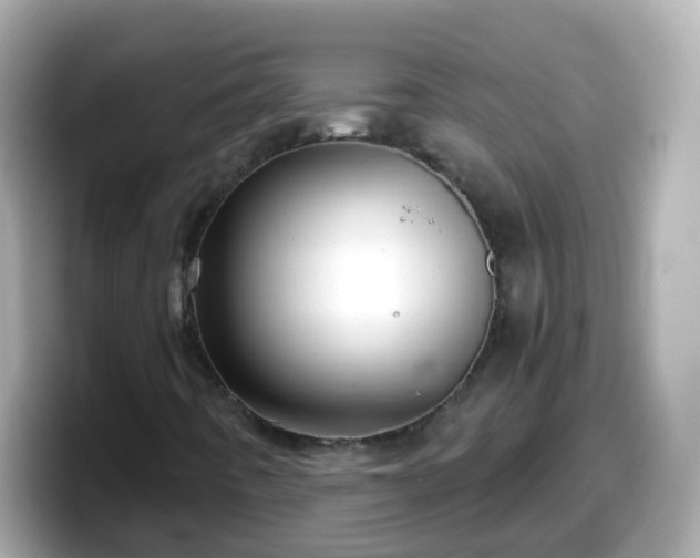 X0000098101442200804111013