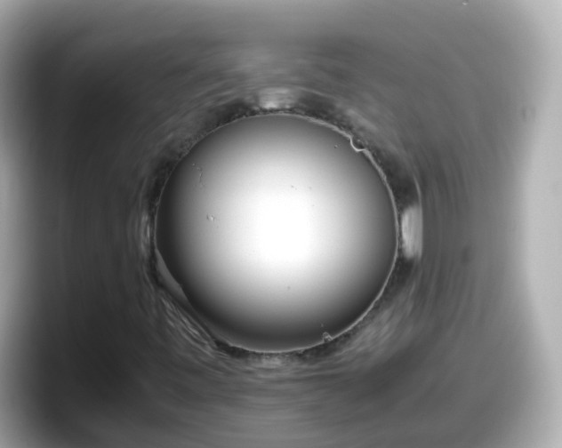 X0000098101443200804111013