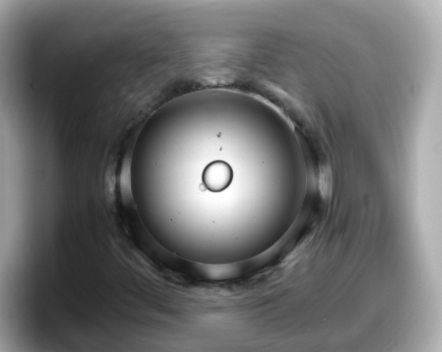X0000098101444200804111013