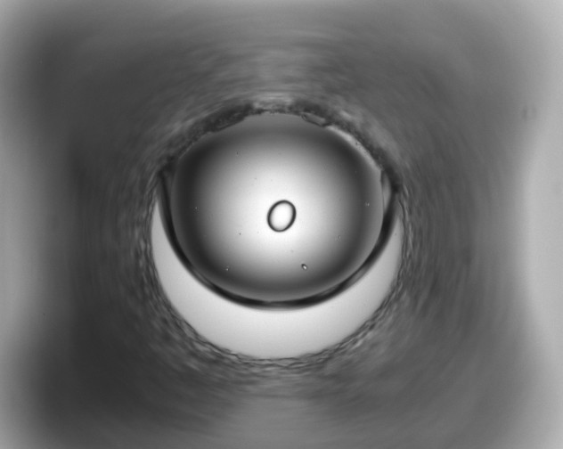 X0000098101445200804111013