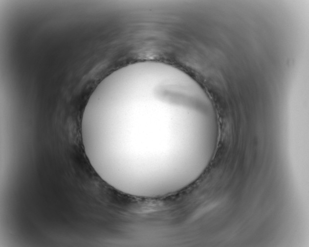 X0000098101446200804111013