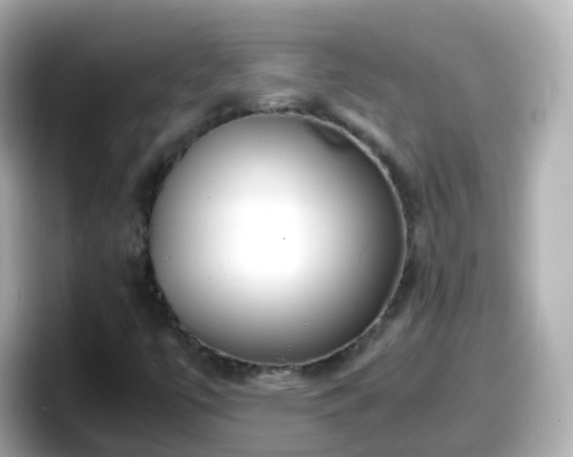 X0000098101447200804111013