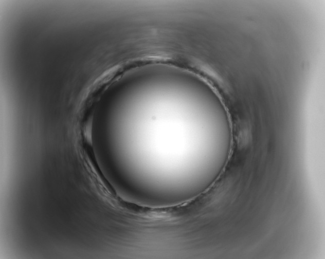 X0000098101448200804111013