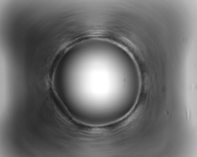 X0000098101449200804111013