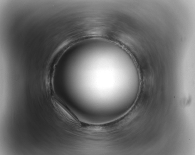 X0000098101450200804111013