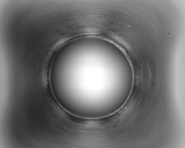 X0000098101451200804111013