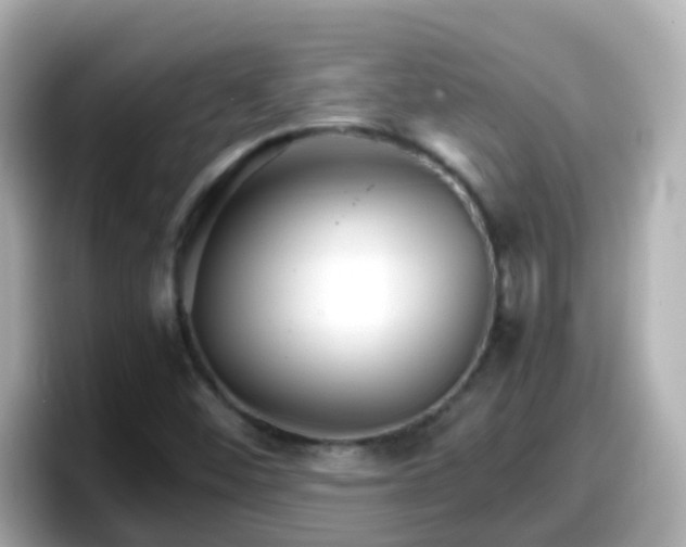 X0000098101452200804111013