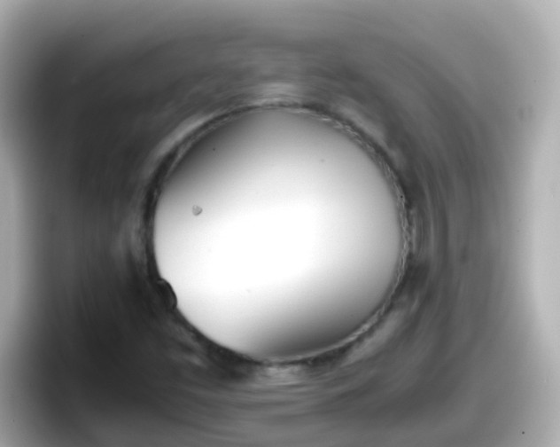X0000098101453200804111013