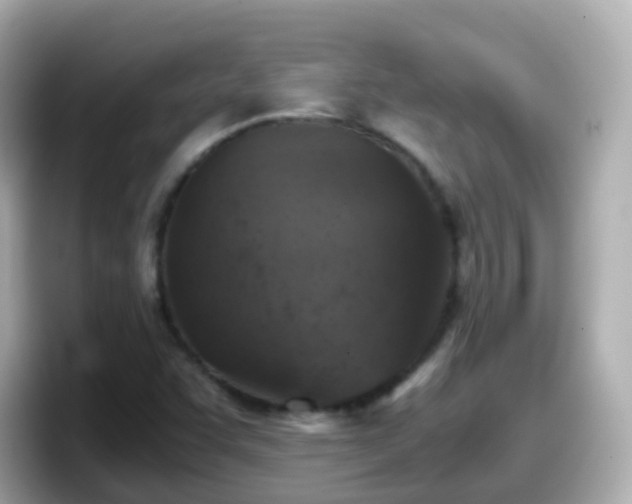X0000098101455200804111013