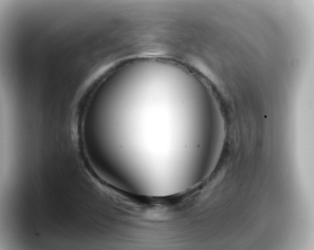 X0000098101456200804111013