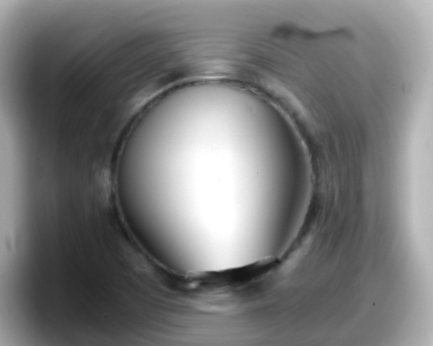 X0000098101457200804111013