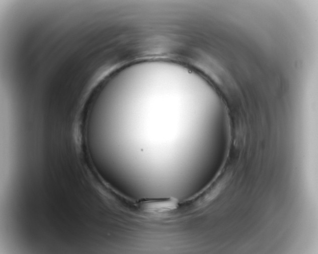 X0000098101458200804111013