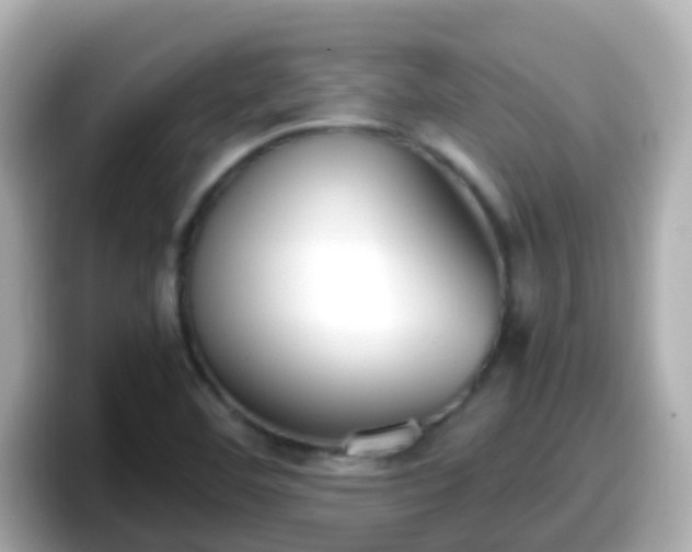 X0000098101460200804111013