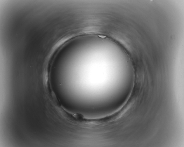 X0000098101461200804111013