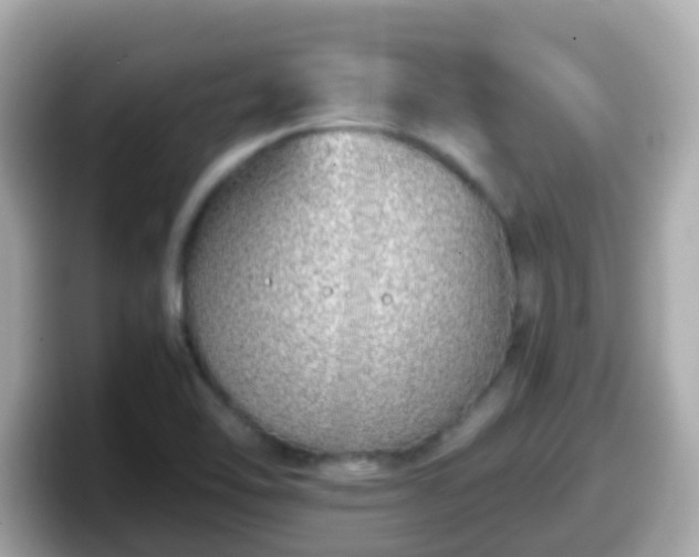 X0000098101462200804111013