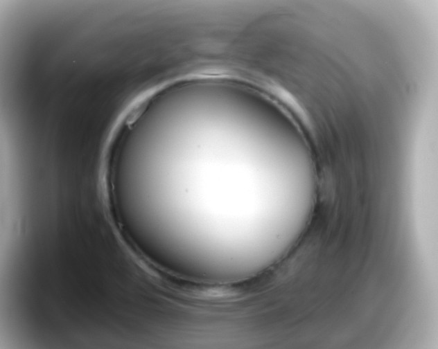 X0000098101464200804111013