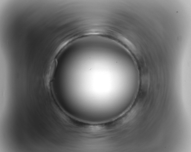 X0000098101465200804111013