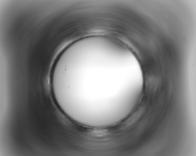 X0000098101466200804111013