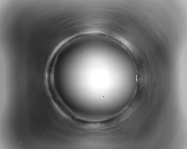 X0000098101468200804111013