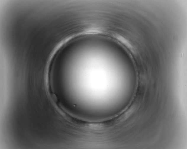 X0000098101469200804111013