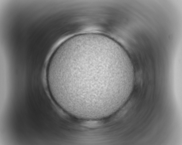 X0000098101470200804111013