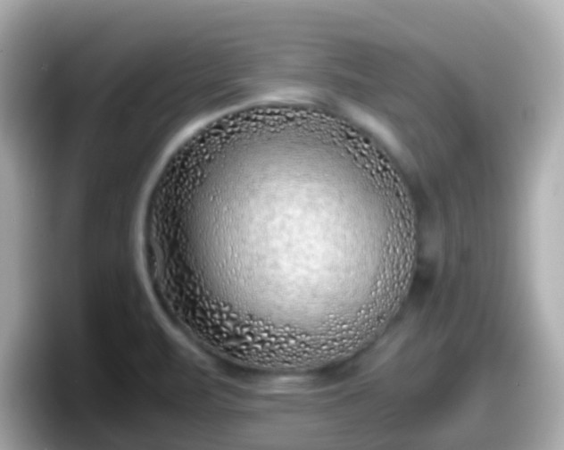 X0000098101471200804111013