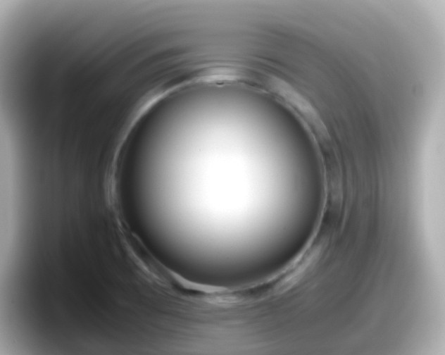 X0000098101473200804111013