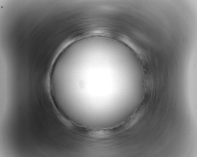 X0000098101474200804111013