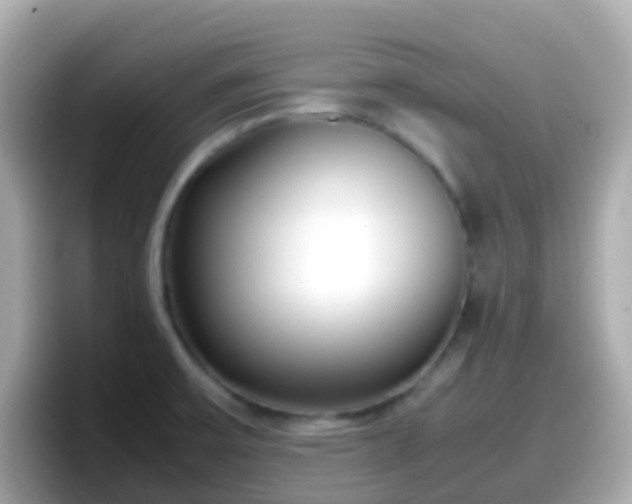 X0000098101475200804111013