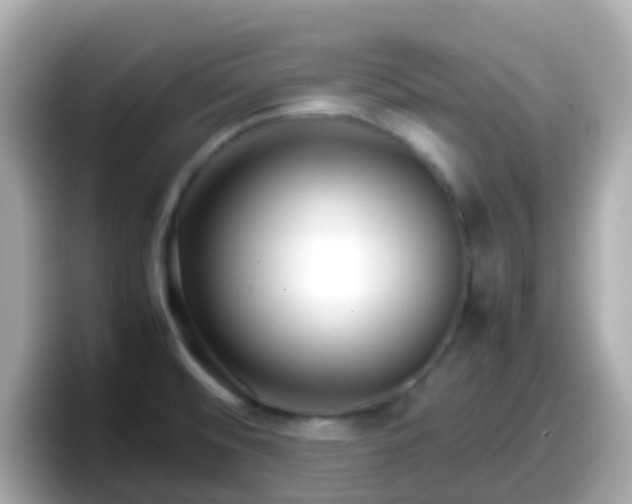 X0000098101476200804111013