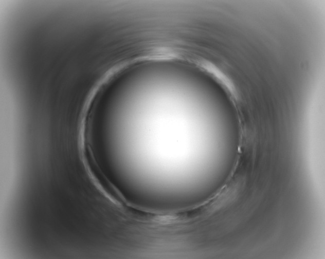 X0000098101477200804111013