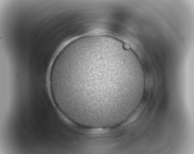 X0000098101478200804111013