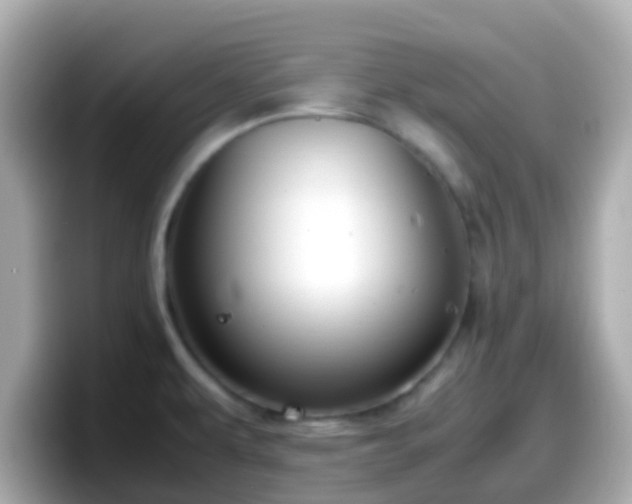 X0000098101479200804111013